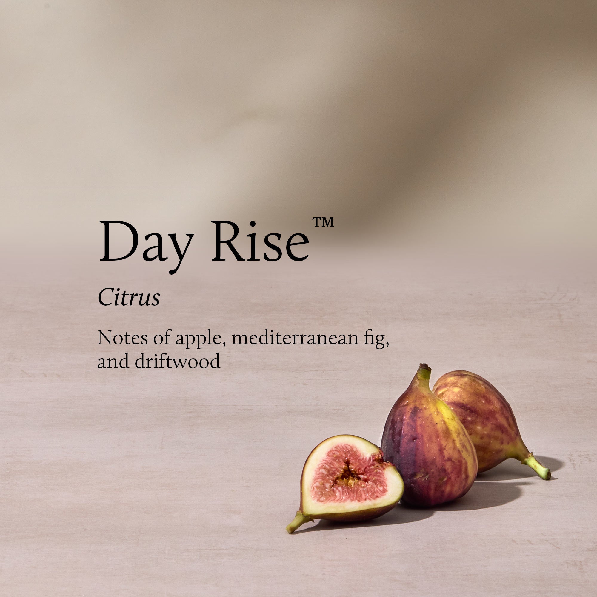 Day Rise Petite Reed Diffuser - Image 3