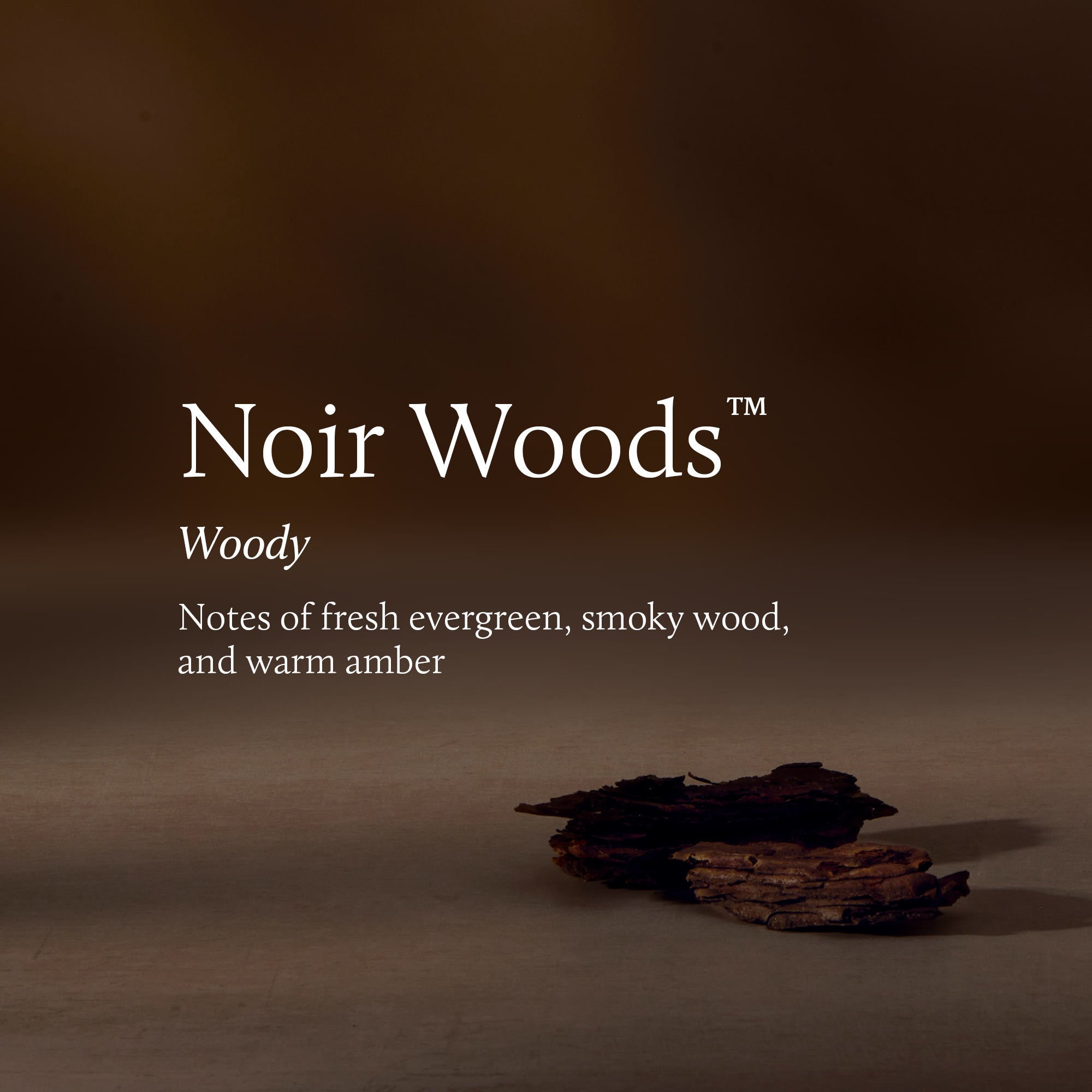 Noir Woods 13 oz 2-Wick Candle - Image 3