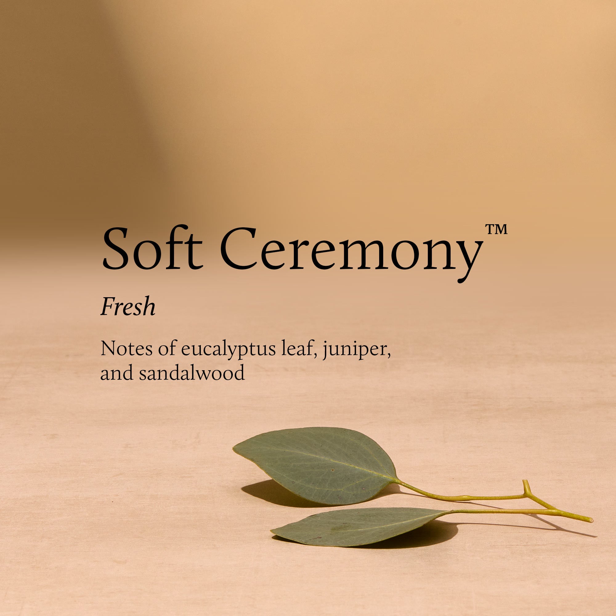 Soft Ceremony 13 oz 2-Wick Candle - Image 3
