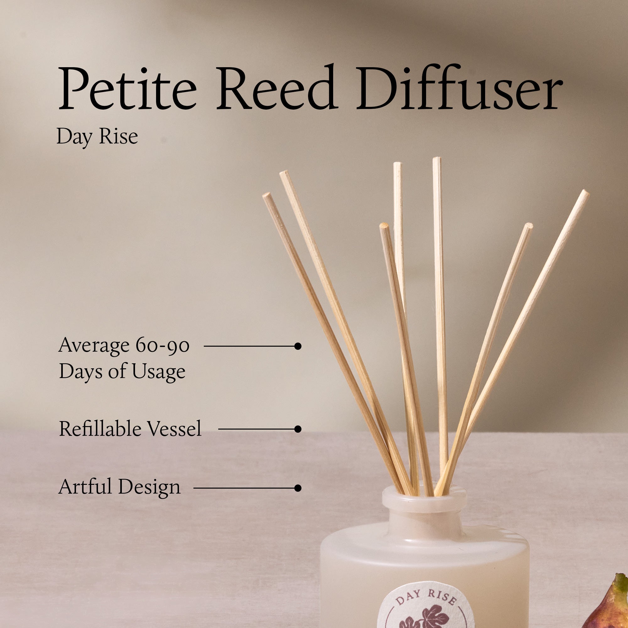 Day Rise Petite Reed Diffuser - Image 4